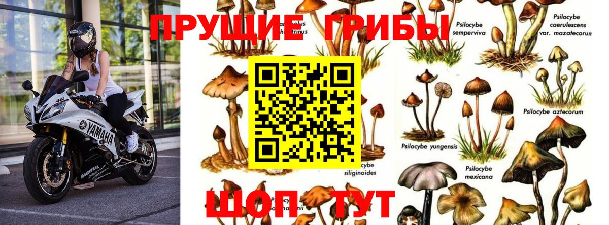 Псилоцибиновые грибы Magic Shrooms  Галлюциногенные грибы Cubensis  Вход с VPN  Тольятти 